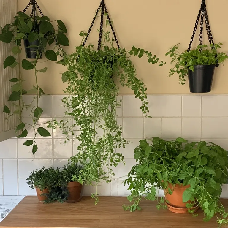 Artistic Kitchen Design